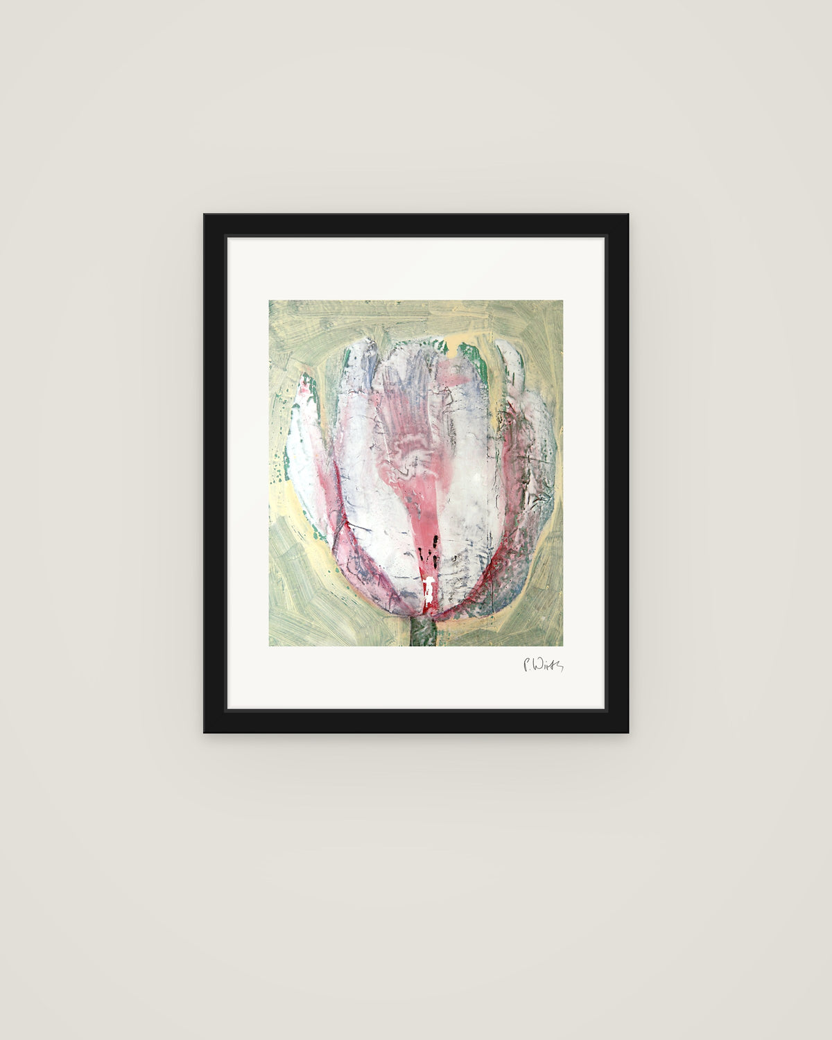 Tulip in White and Pink by Peter Wirth, framed in slim black wood with acrylic glazing