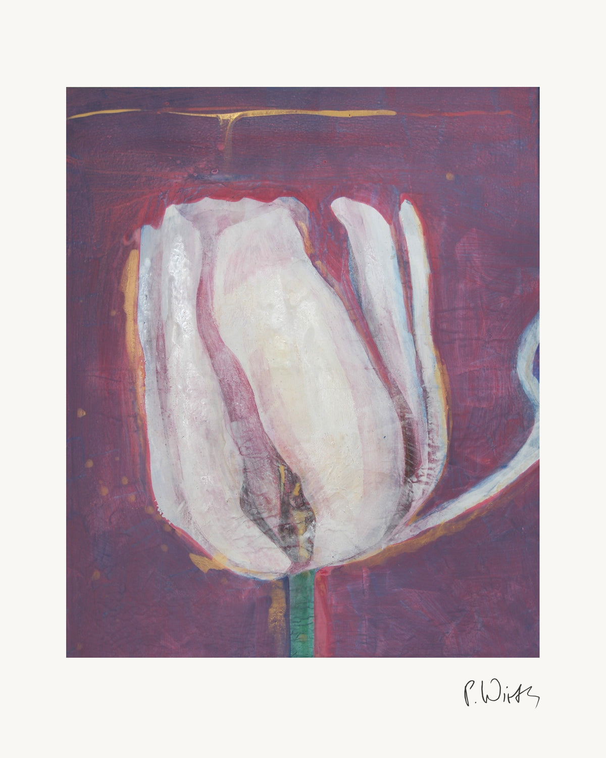 Weiße Tulpe von Peter Wirth, das ganze Blatt mit weißem Rand und gedruckter Signatur