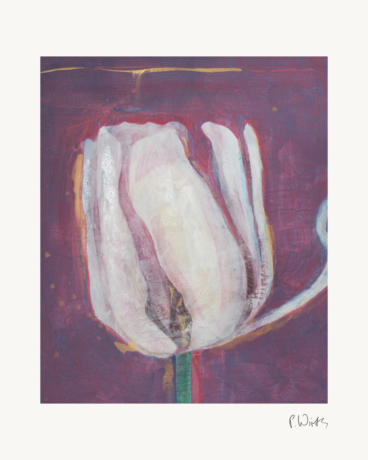 Weiße Tulpe von Peter Wirth, das ganze Blatt mit weißem Rand und gedruckter Signatur