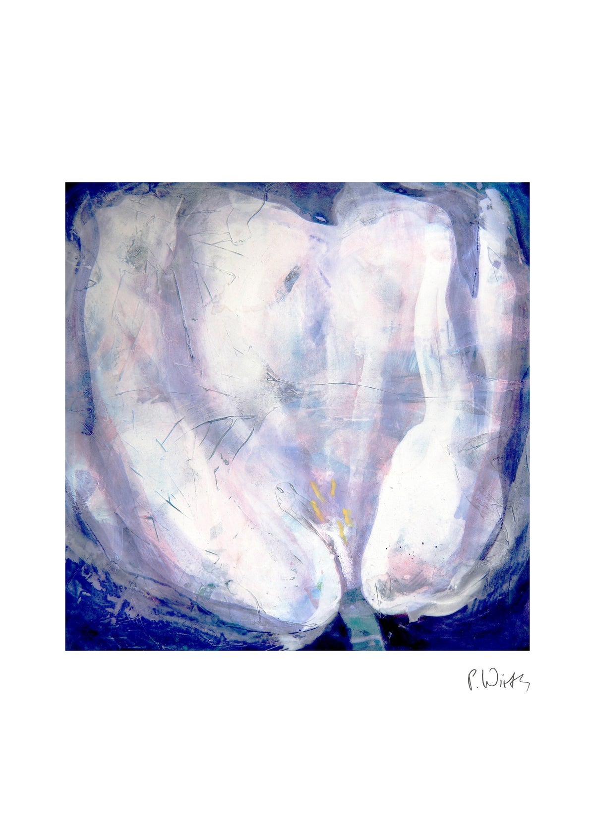 White Tulip on Ultramarine — fine art print after Peter Wirth, sheet with white border and signature