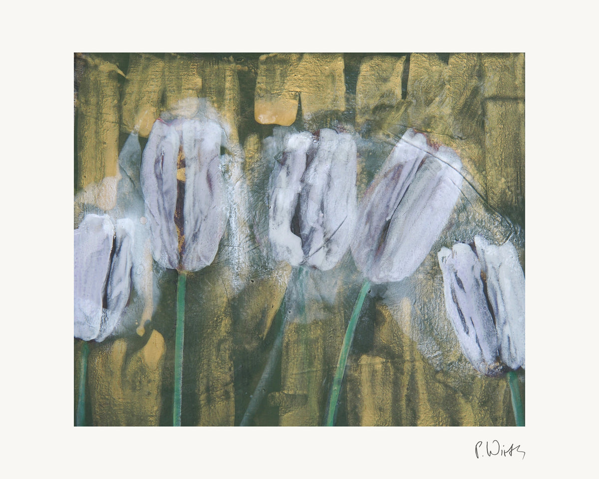 Tulpen VIII von Peter Wirth, das ganze Blatt mit weißem Rand und gedruckter Signatur