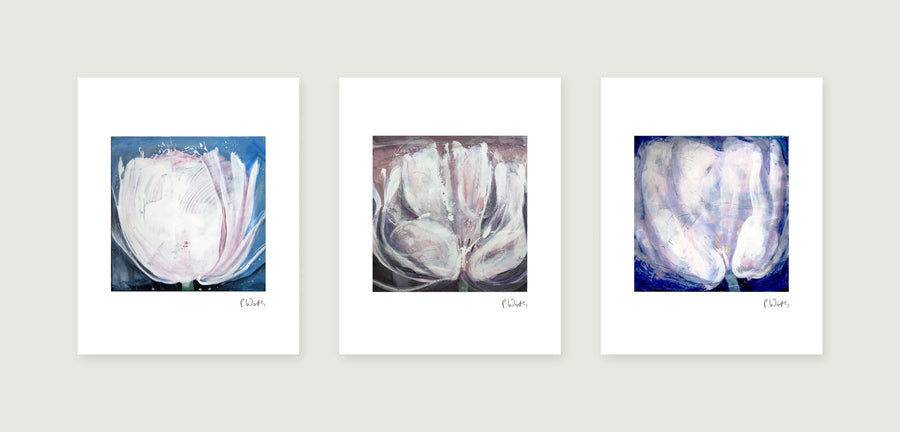 Weiße Tulpen im Quadrat · Drei